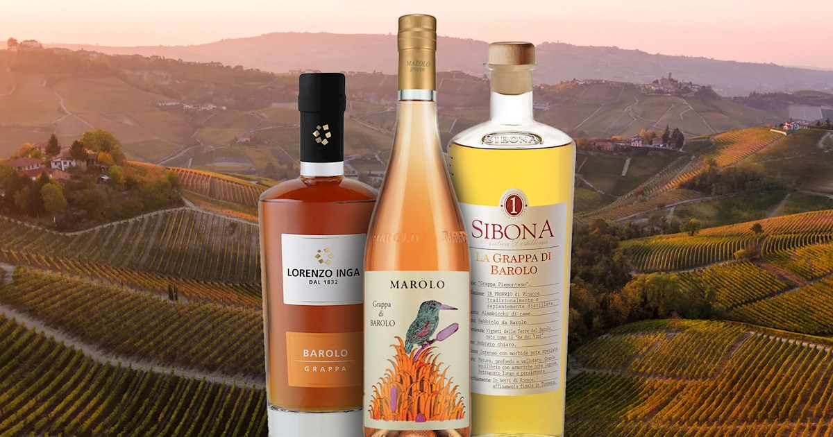 Italian Spirit With Ruta 89 Best Spirits in Italy - TasteAtlas