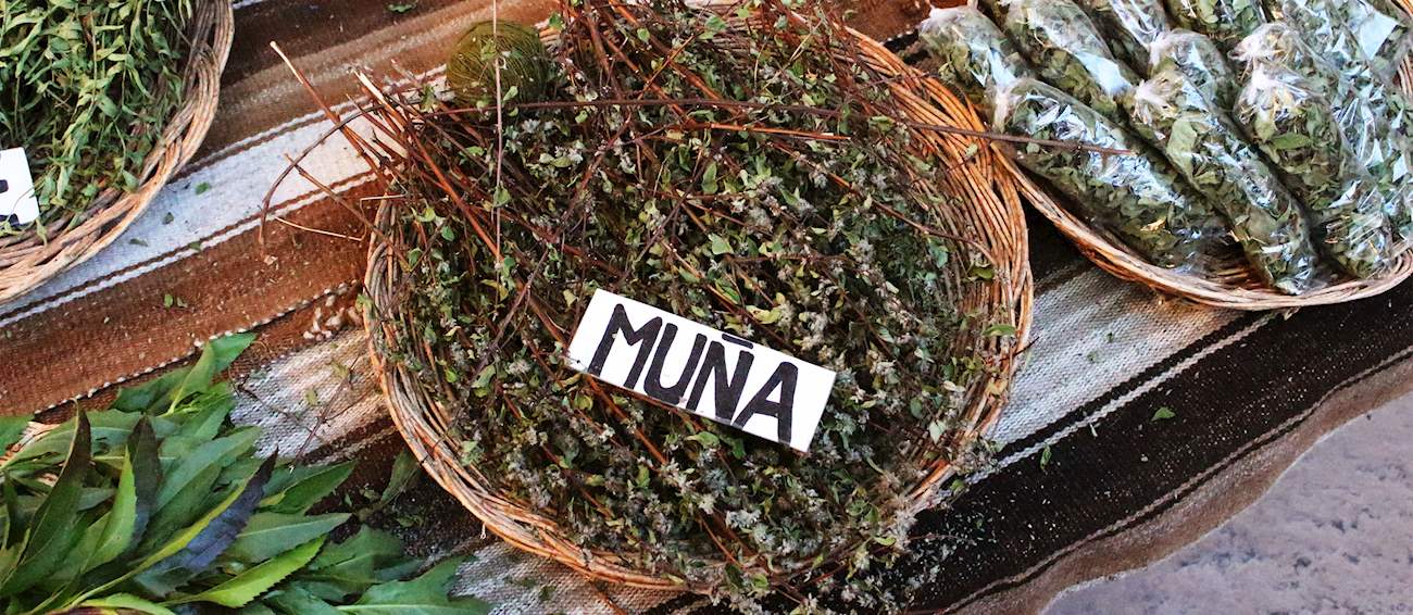 4 Most Popular South American Herbs And Spices TasteAtlas 4-most-popular-south-american-herbs-and-spices-tasteatlas