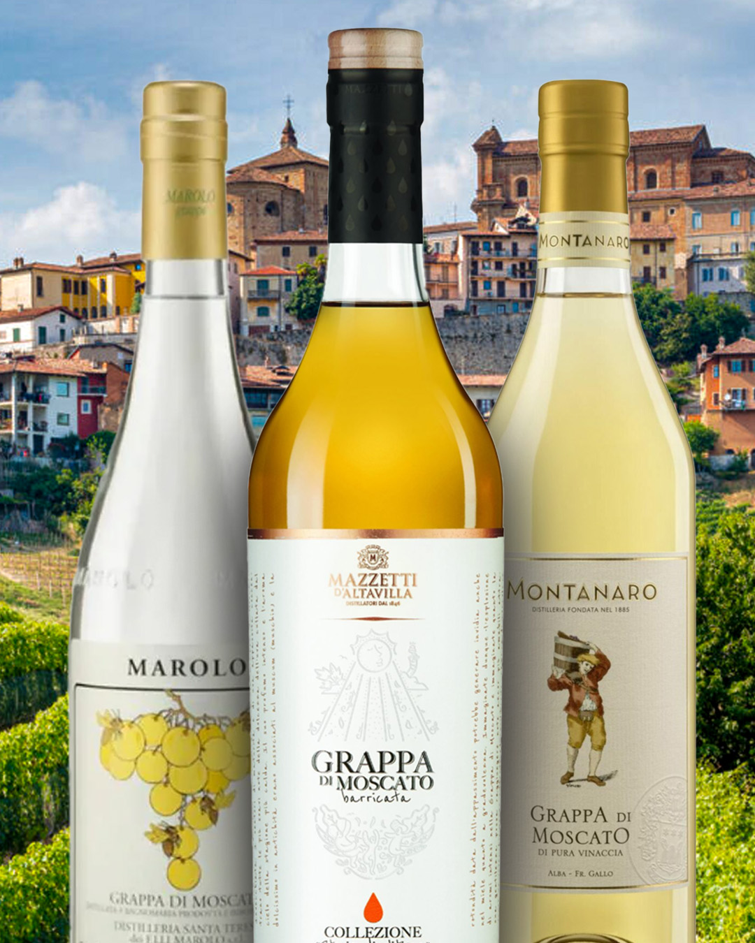 Grappa di Moscato | Local Spirit From Piedmont, Italy