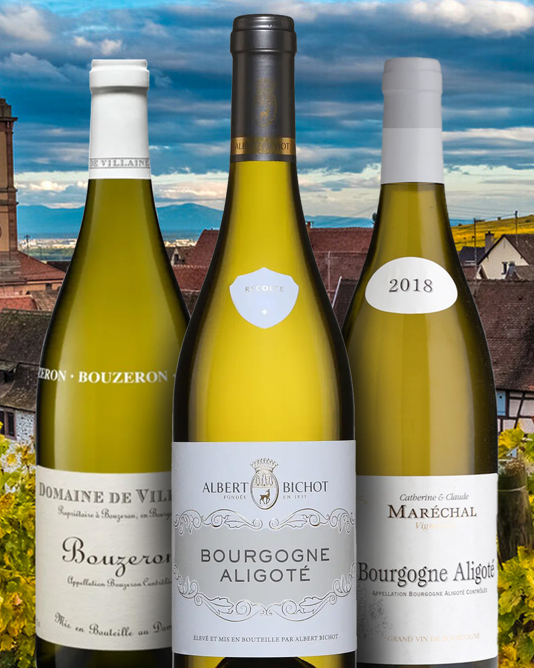 Aligoté | Local Wine Variety From Burgundy, France