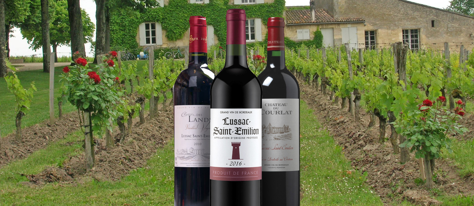 french red wine brands