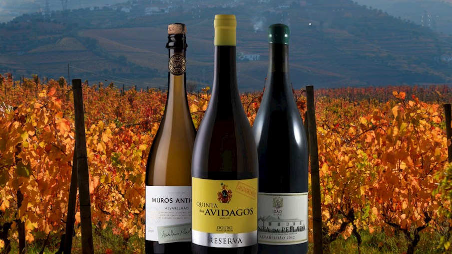 4 Most Popular Viseu Wine Varieties - TasteAtlas