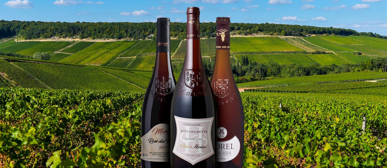64-best-wines-in-champagne-ardenne-tasteatlas