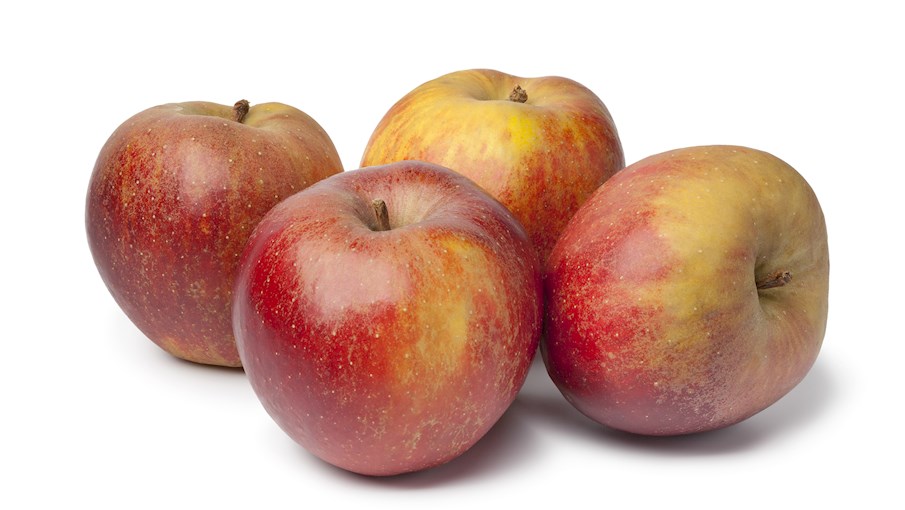 50 Most Popular Apples in the World - TasteAtlas