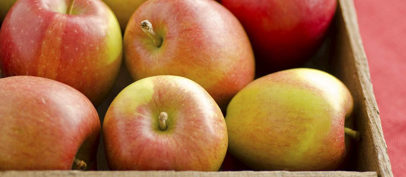 10-most-popular-new-zealand-apple-varieties-tasteatlas