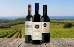 Bolgheri Superiore