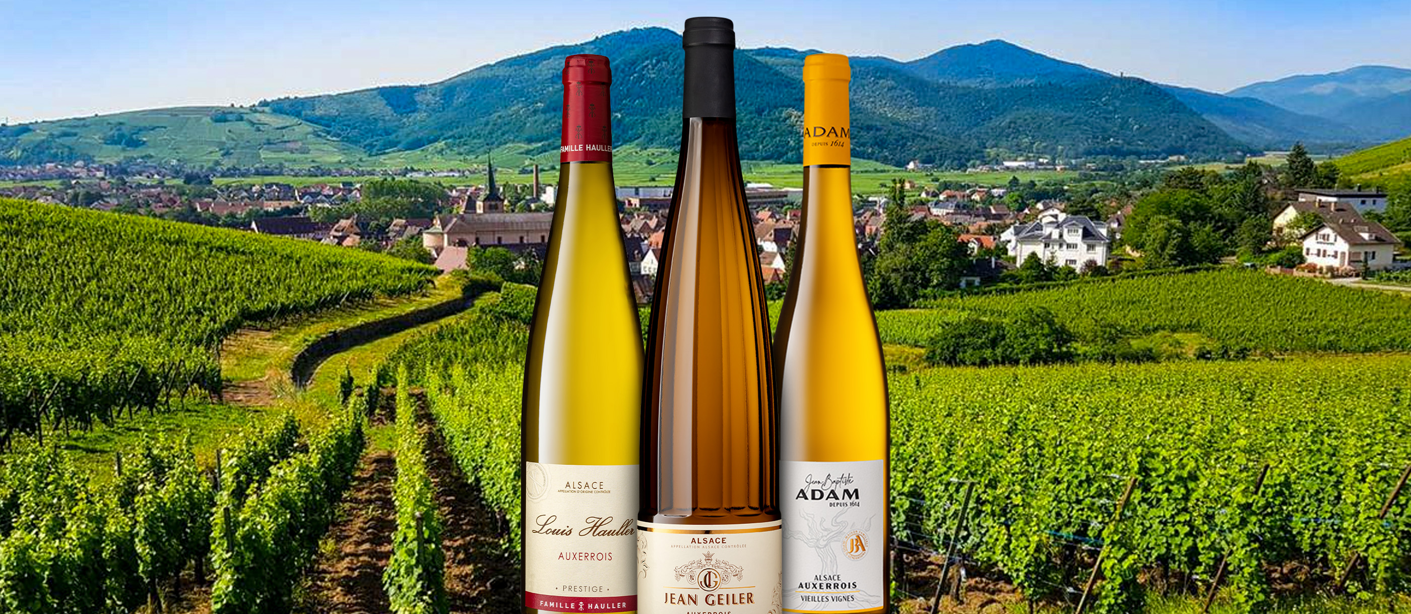 3 Best White Grapes in Alsace - TasteAtlas