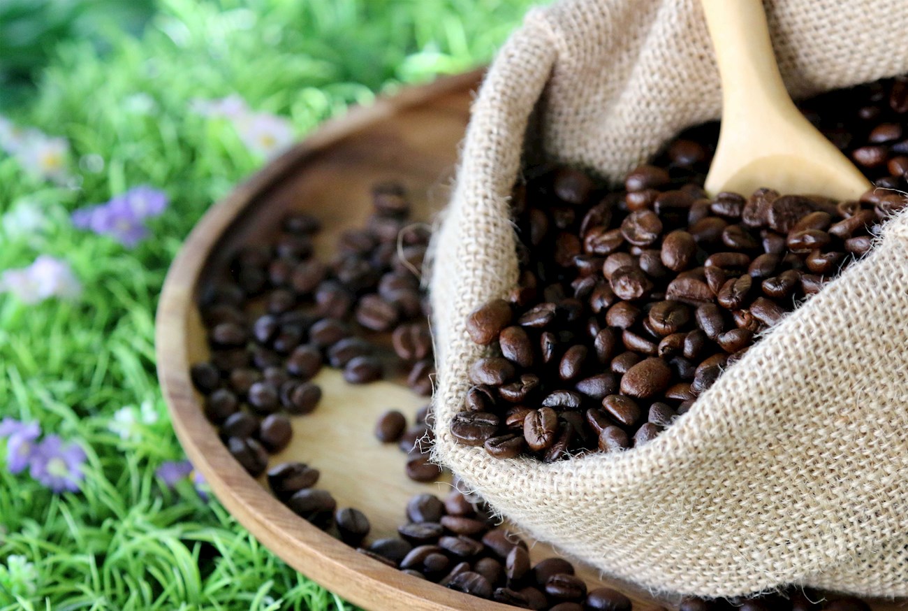 Most Popular Coffee Beans in the World TasteAtlas