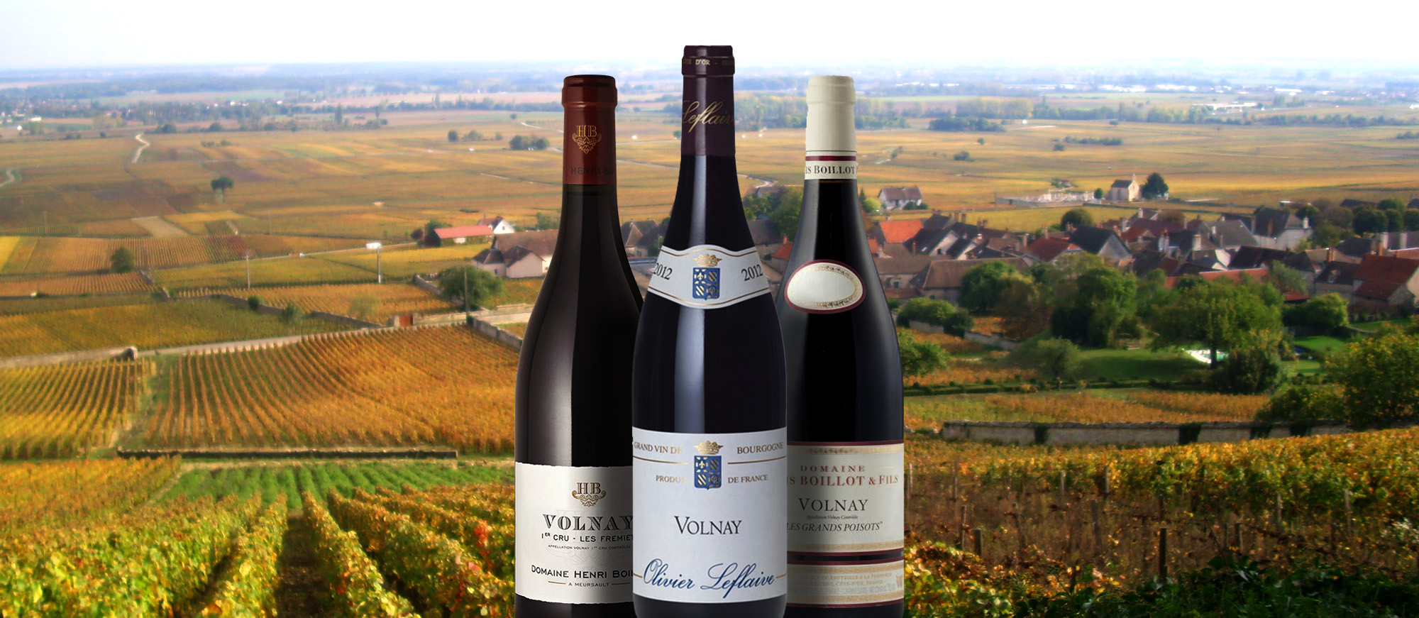 Volnay | Local Wine Appellation From Volnay, France