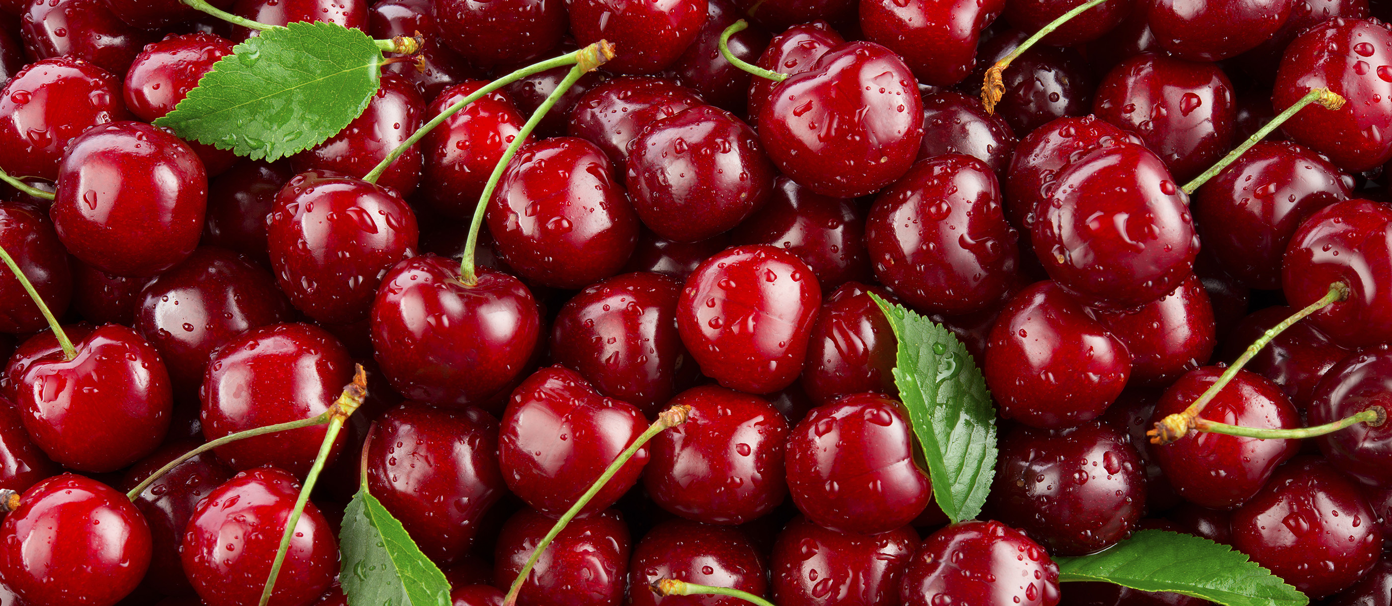 Guigne D'Annonay Local Cherry From Pays de la Loire, France
