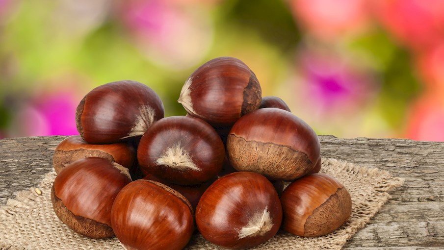 10 Most Popular Italian Nuts and Seeds TasteAtlas