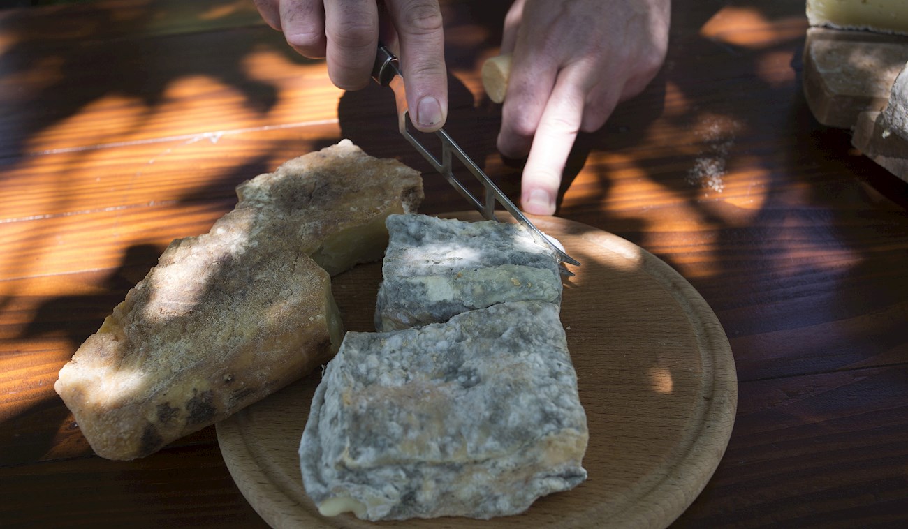 Cherni Vit | Local Cheese From Cherni Vit, Bulgaria