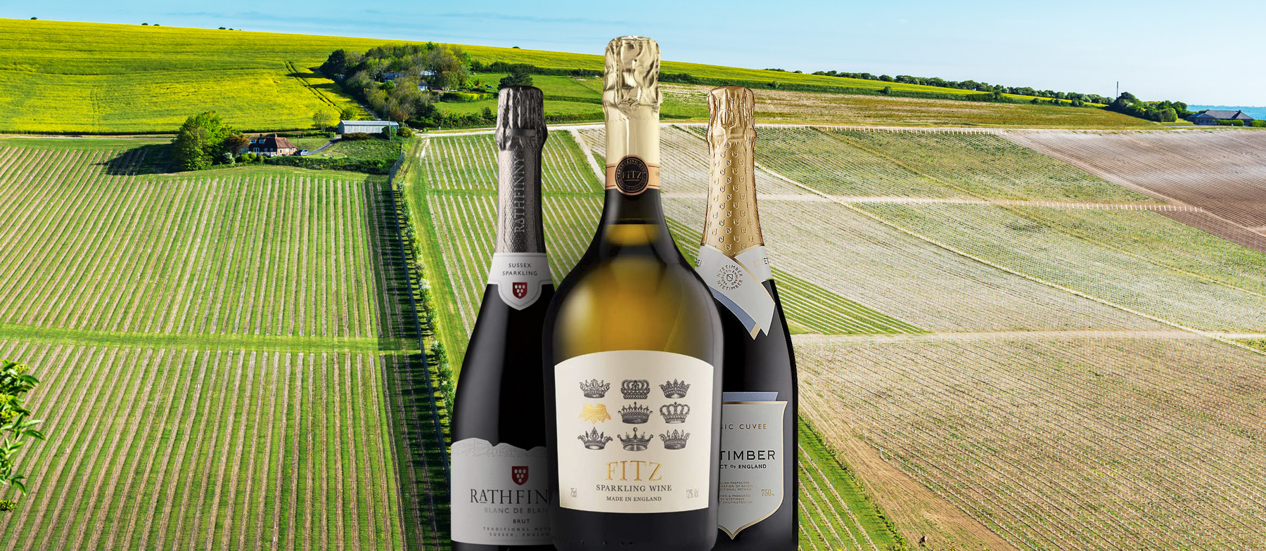 Sussex Sparkling Local Wine Appellation From East Sussex, England