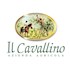 Il Cavallino Di Salvadori Romina