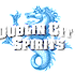 Dublin City Spirits