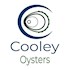 Cooley Oysters