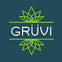 Grüvi