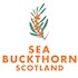 Seabuckthorn Scotland 