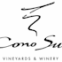Cono Sur