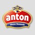 Anton Meso Kamnik