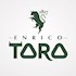 Enrico Toro