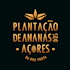 Plantação de Ananás dos Açores