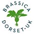 Brassica Dorset