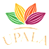 Upala Chocolate