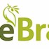 My Olive Branch