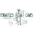 Formatges Camps