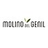 Molino del Genil