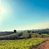Domaine des Tourelles