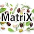 Matrix Srl