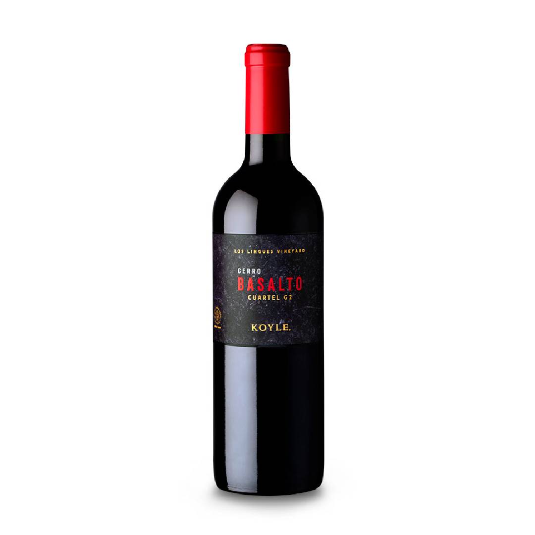 福袋 オンライン Koyle Cerro Products Gourmet Best - G2 Cuartel Basalto ワイン