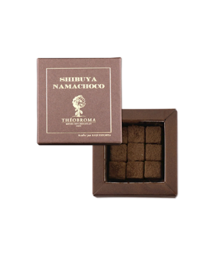 Musée du Chocolat Théobroma Shibuya Namachoco - Best Gourmet