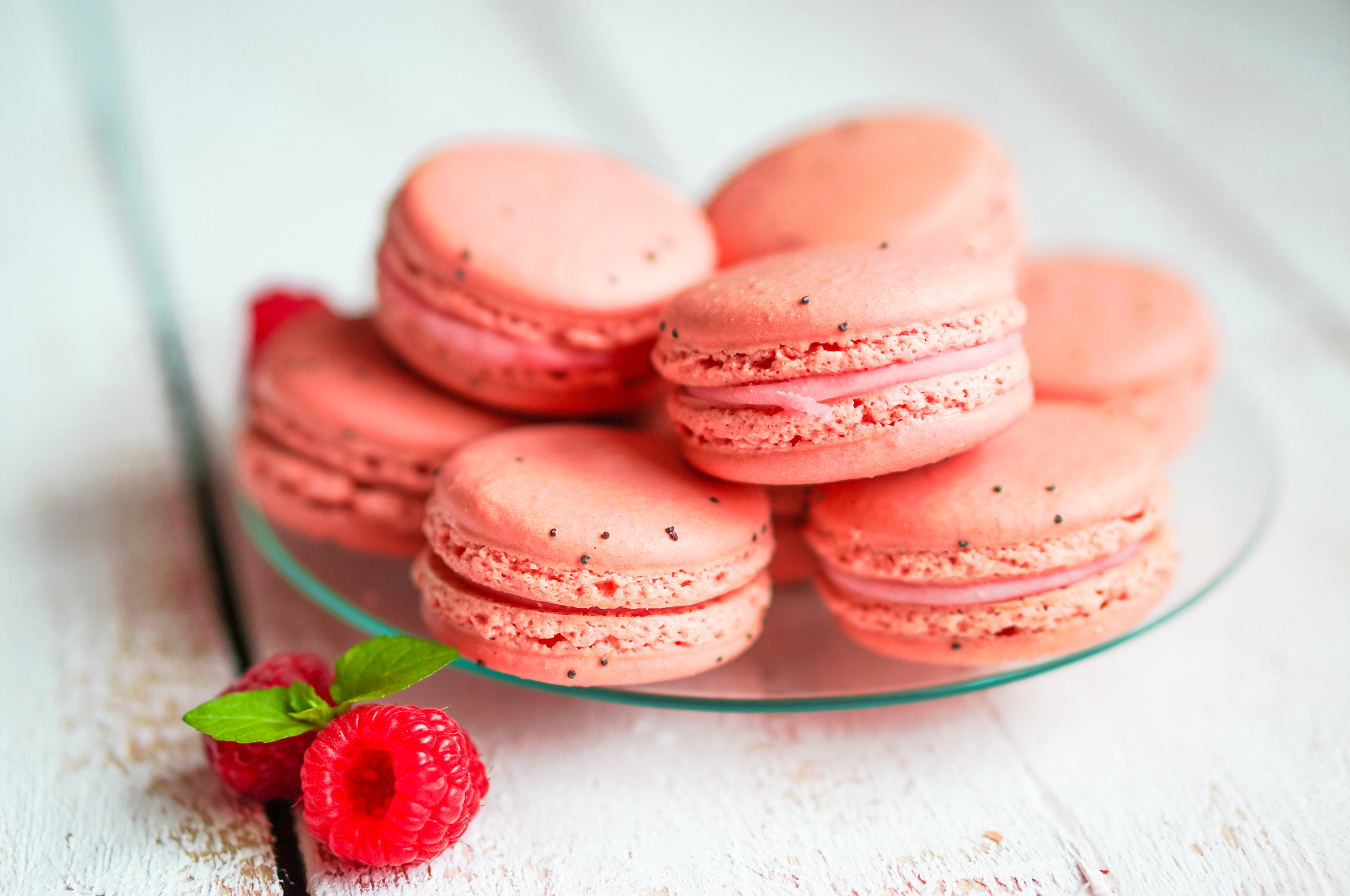 More About Macaron