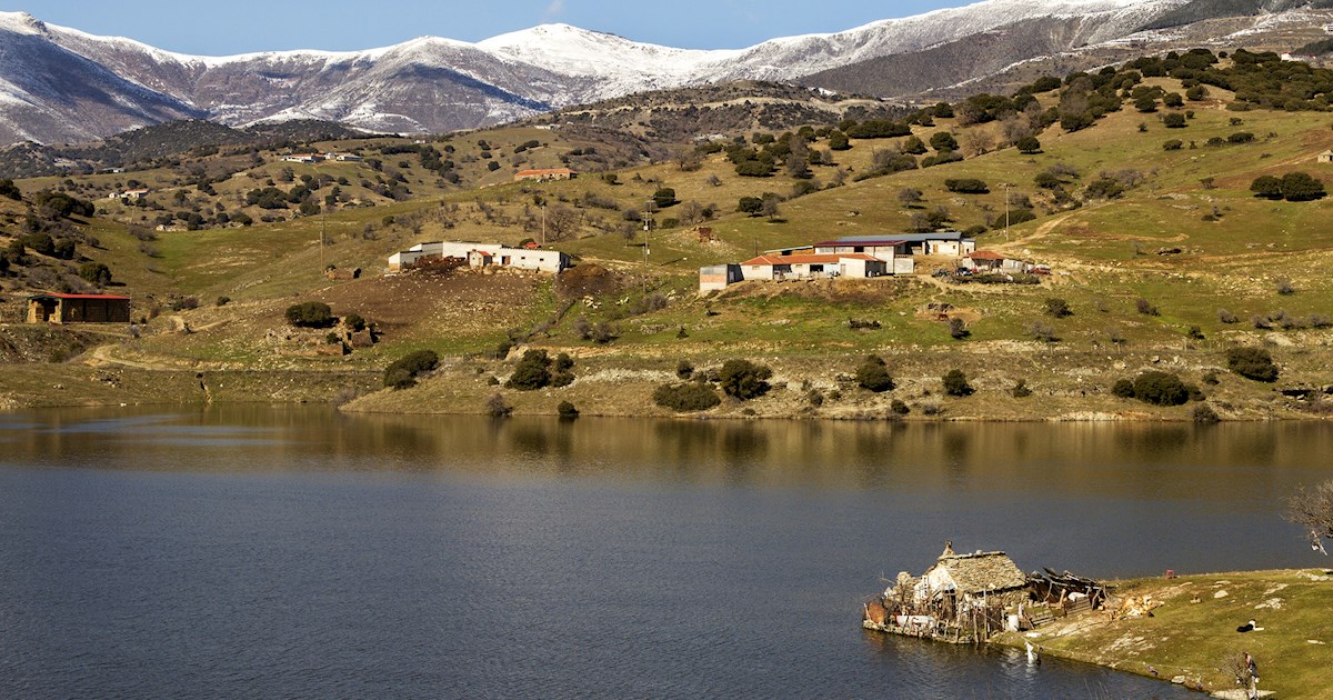 Eat Local in Elassona