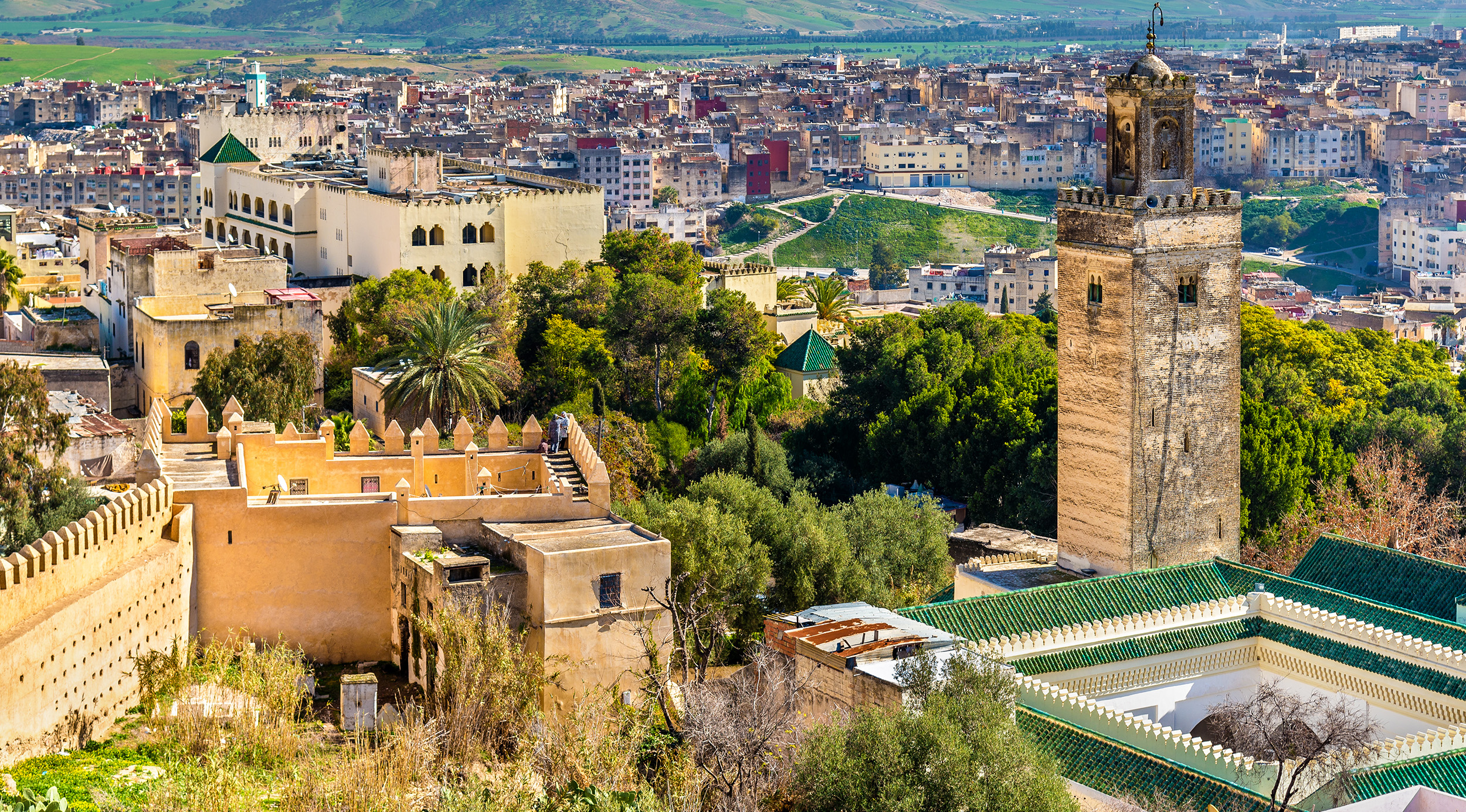 Eat Local in Fez