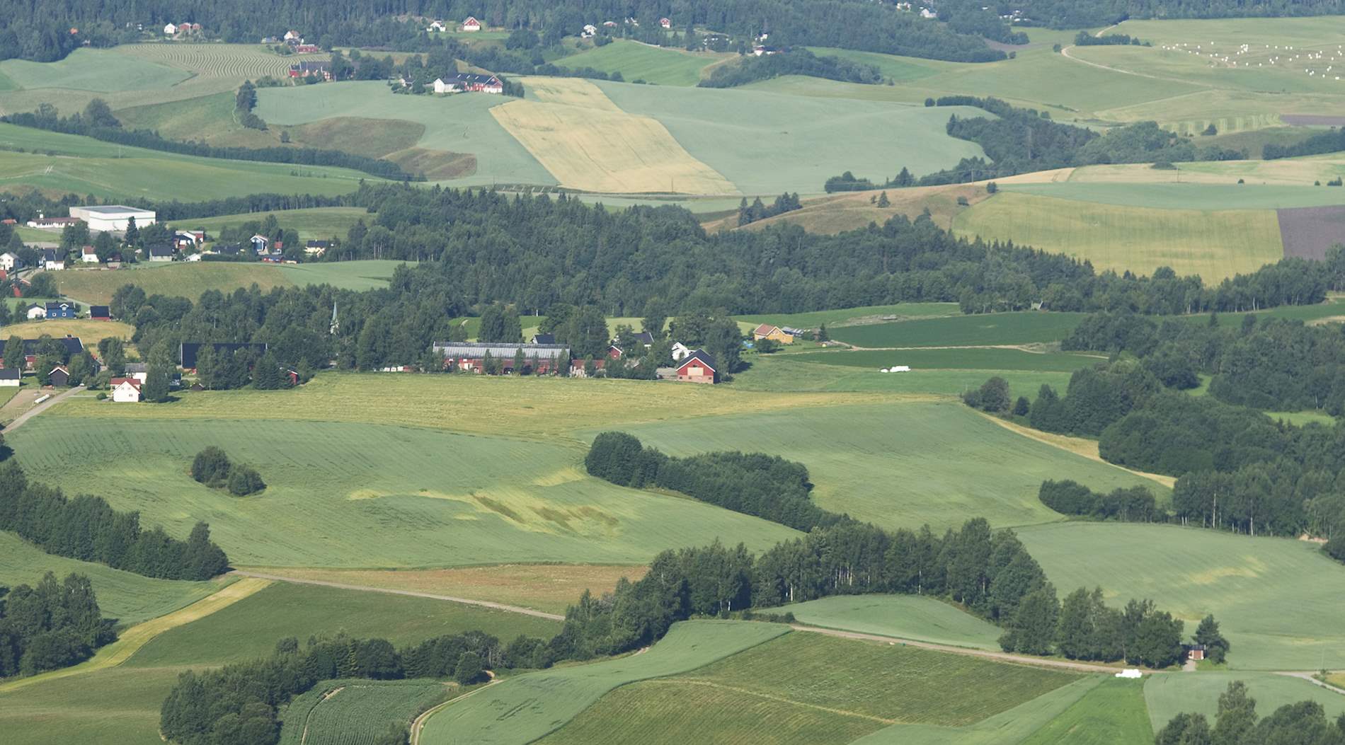 Eat Local In Eastern Norway