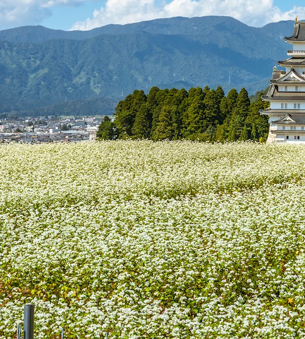 Eat Local in the Chubu Region - TasteAtlas