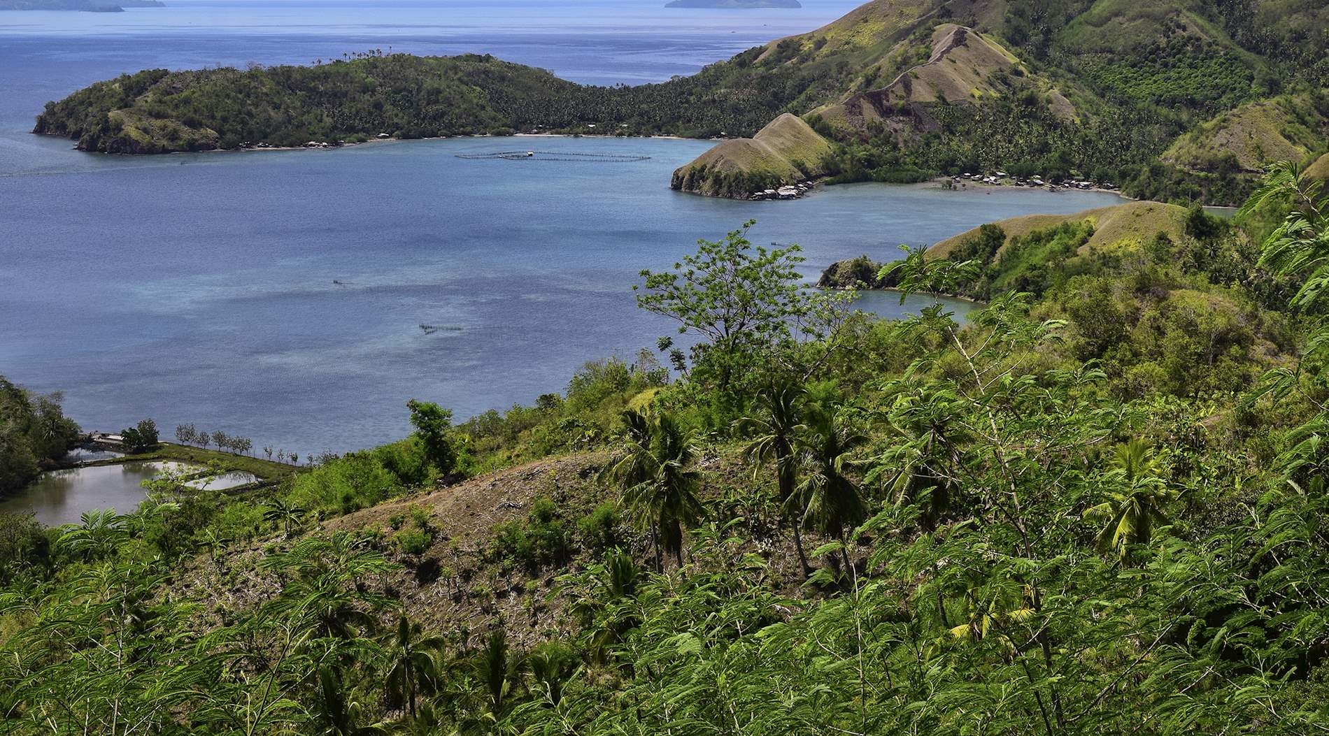 Davao City