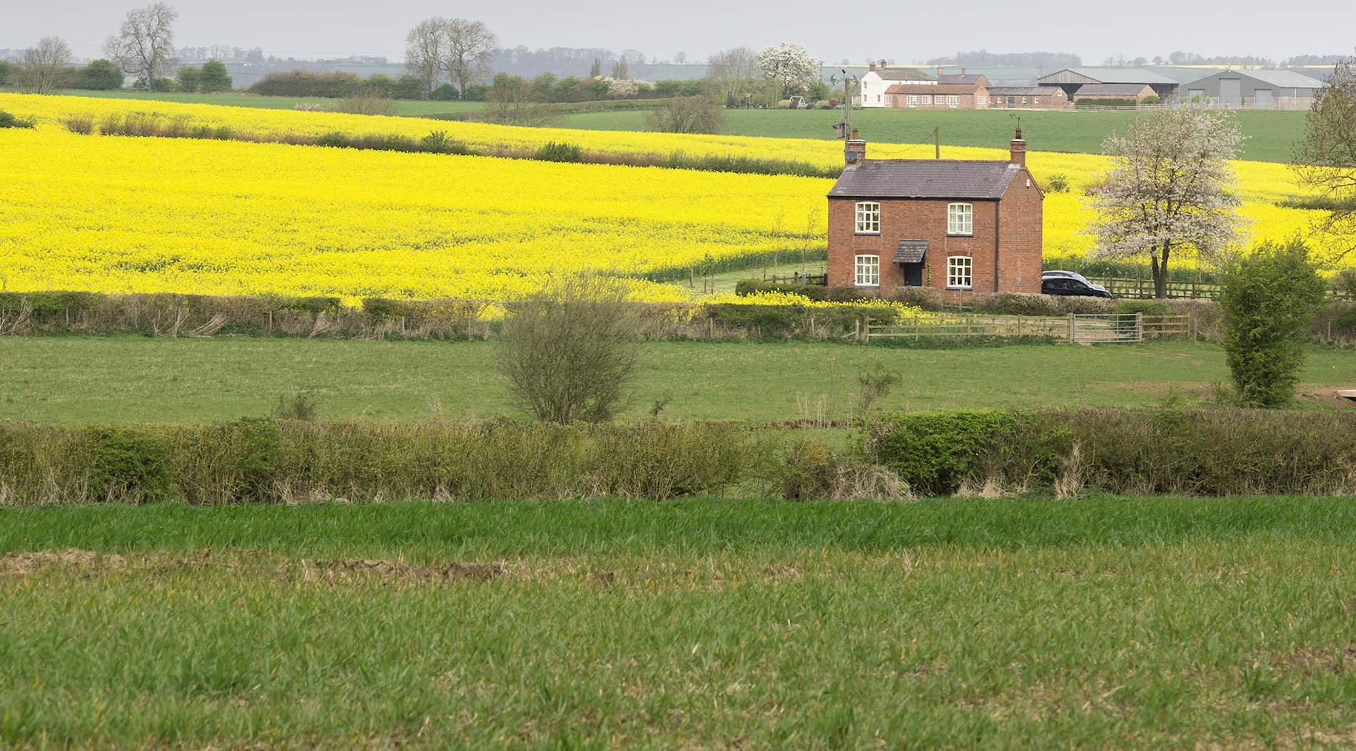 Eat Local in Melton Mowbray