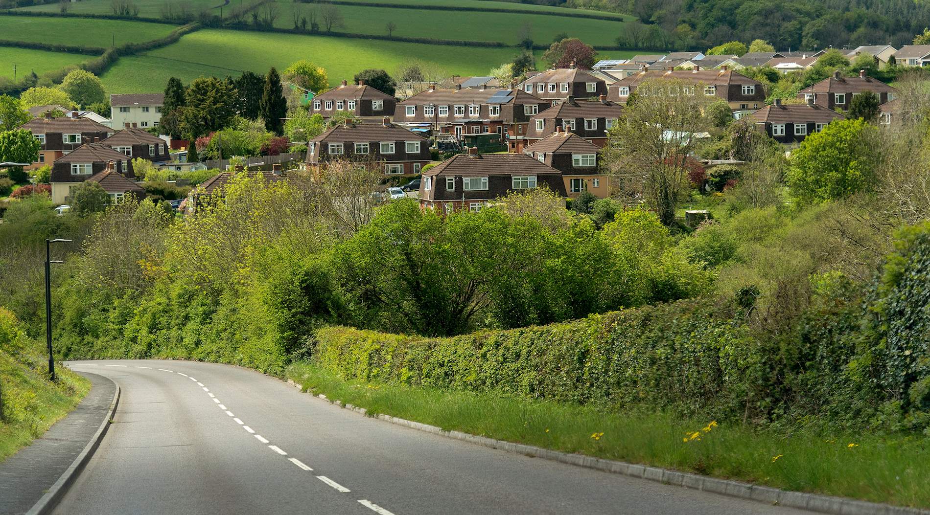 Eat Local in Buckfastleigh