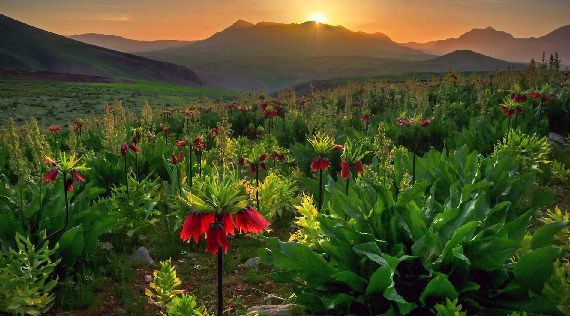 Eat Local in Chaharmahal and Bakhtiari Province