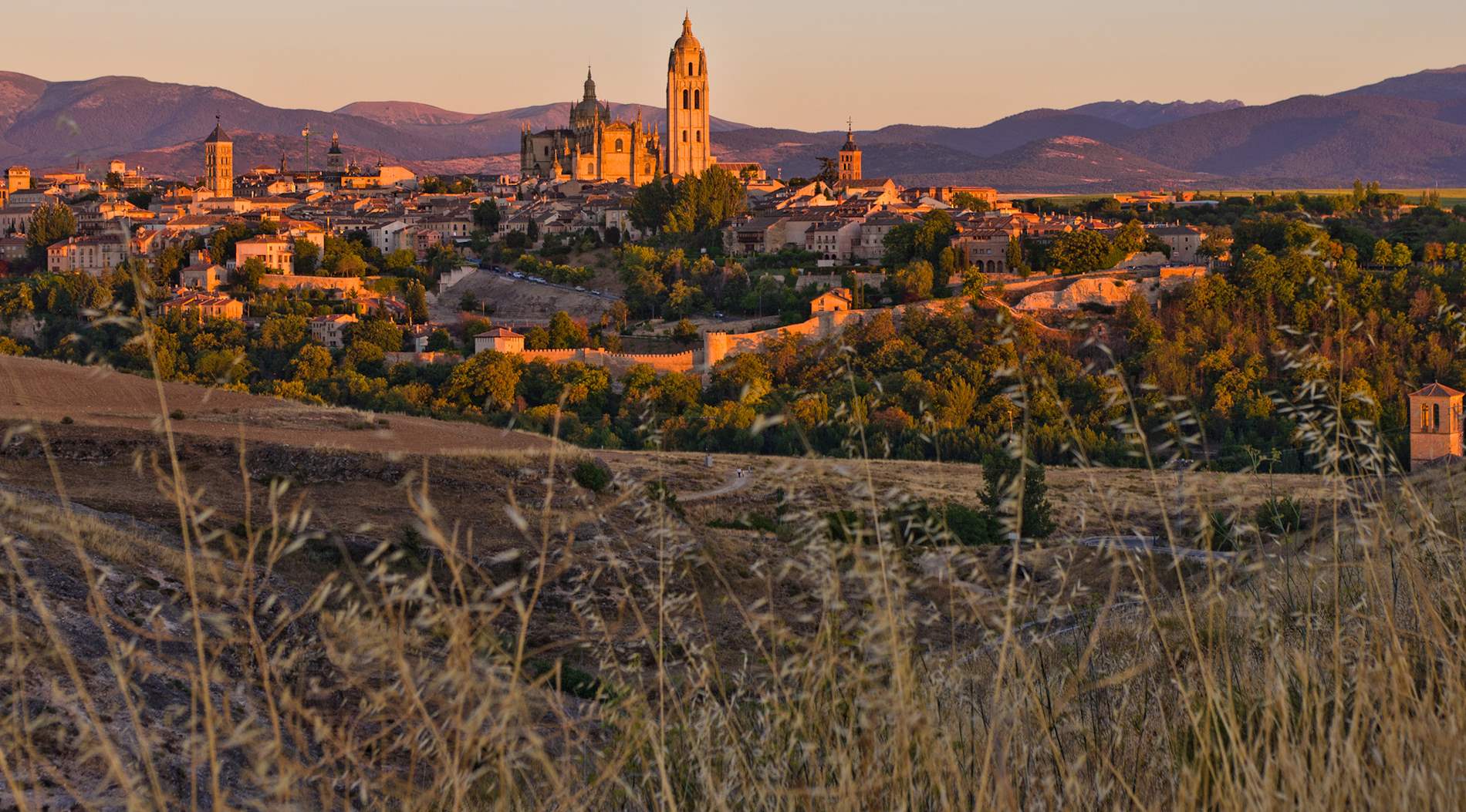 Eat Local in the Province of León