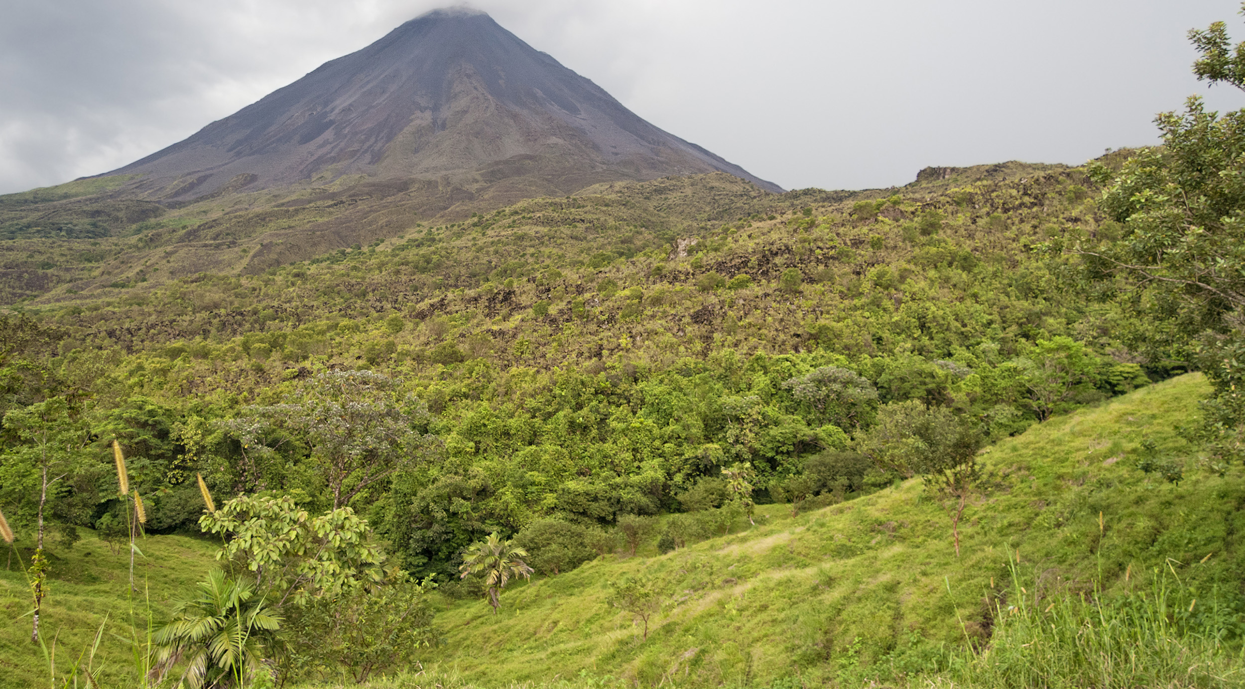 Alajuela Province: Food Map | TasteAtlas