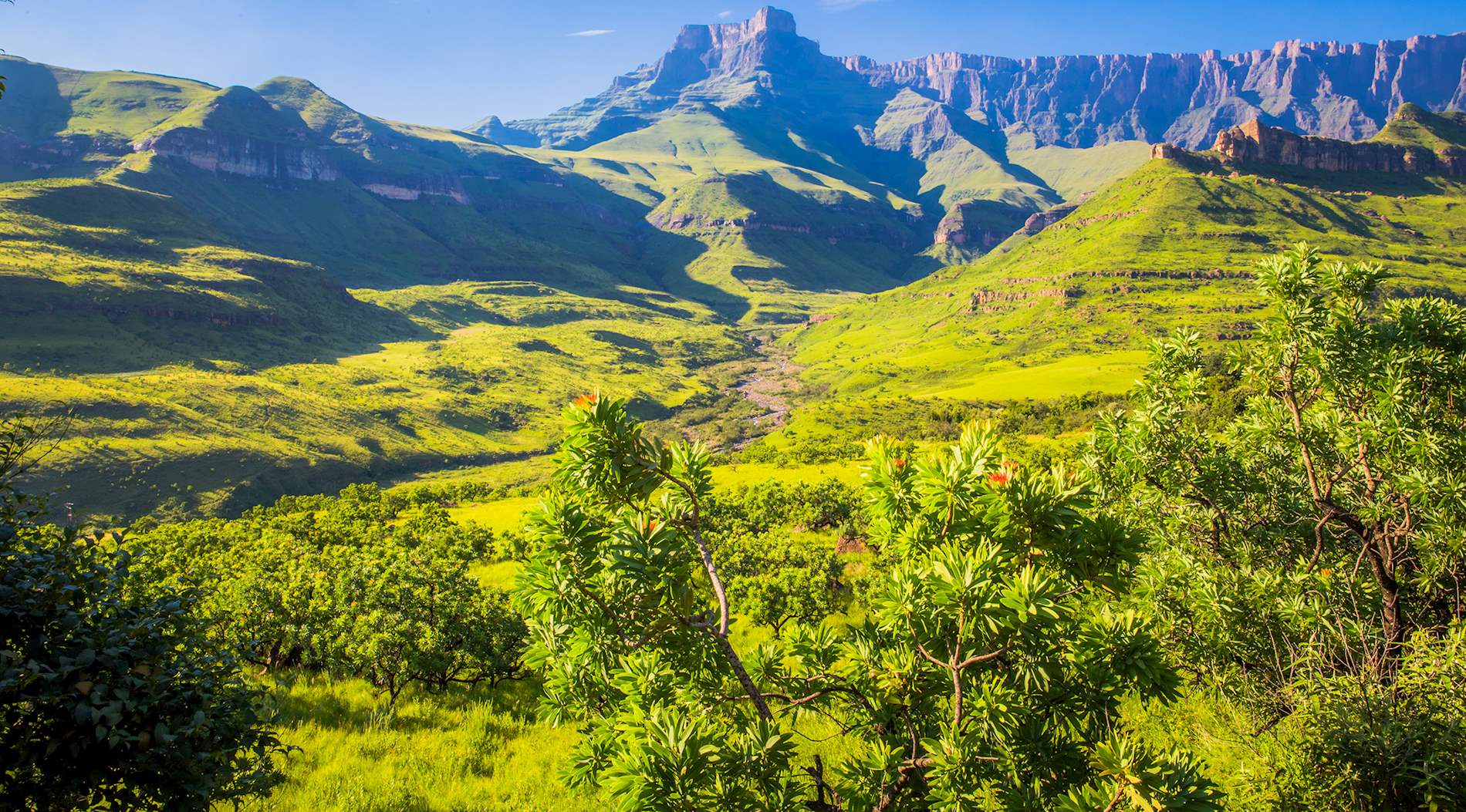 Eat Local in KwaZuluNatal