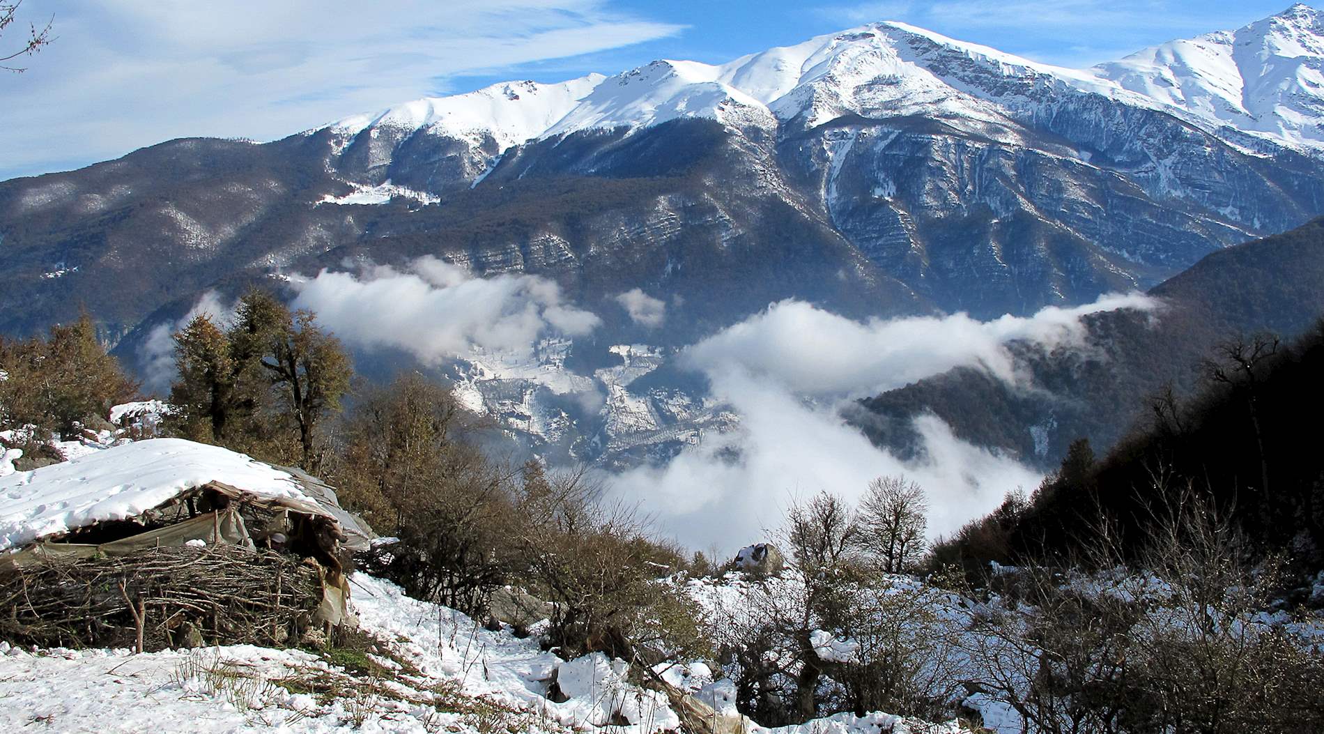 Eat Local in Mazandaran Province