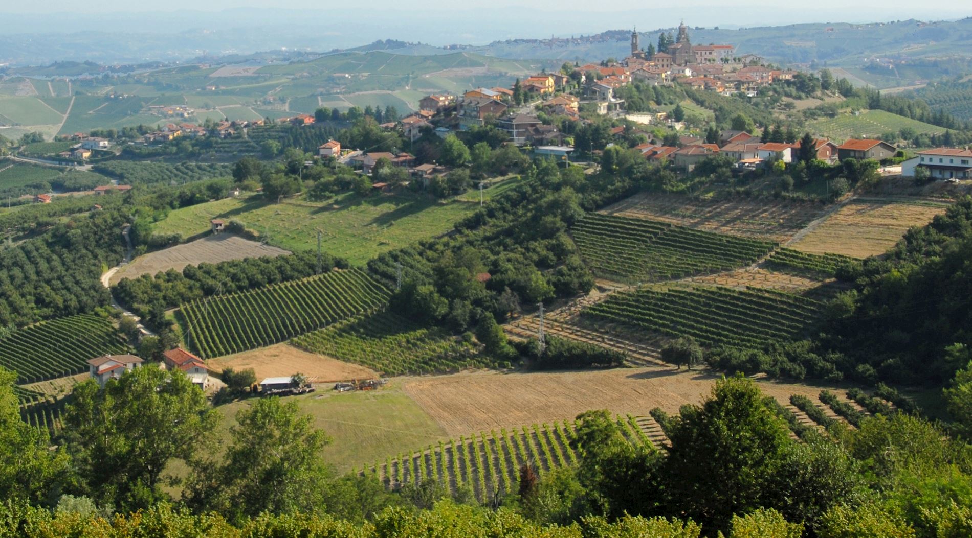 Eat Local in Diano d'Alba