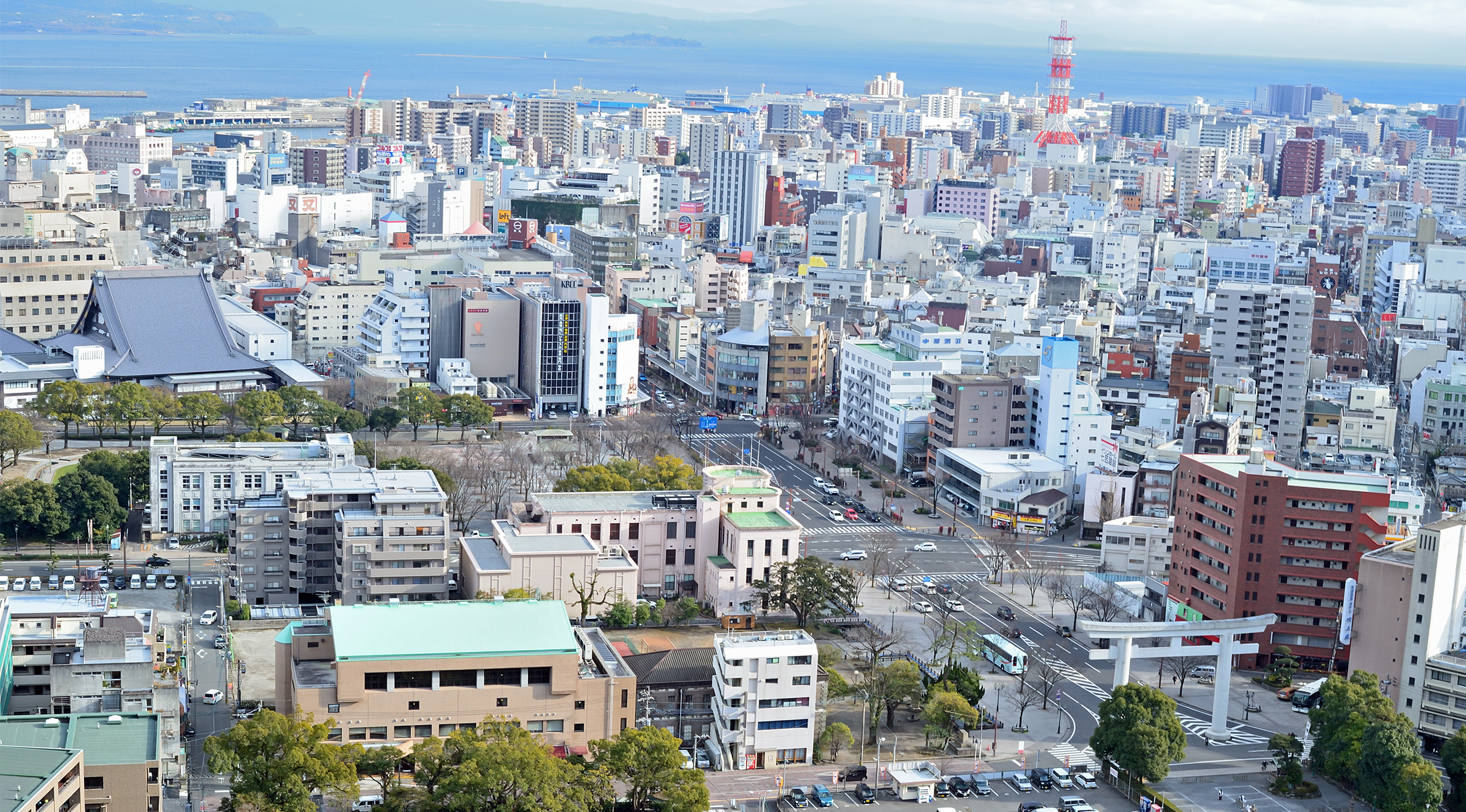 Eat Local in Kagoshima